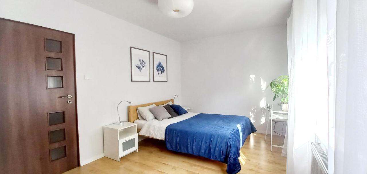 Apartamentyprzymorzu Centrum Blisko Plazy 科沃布热格 外观 照片